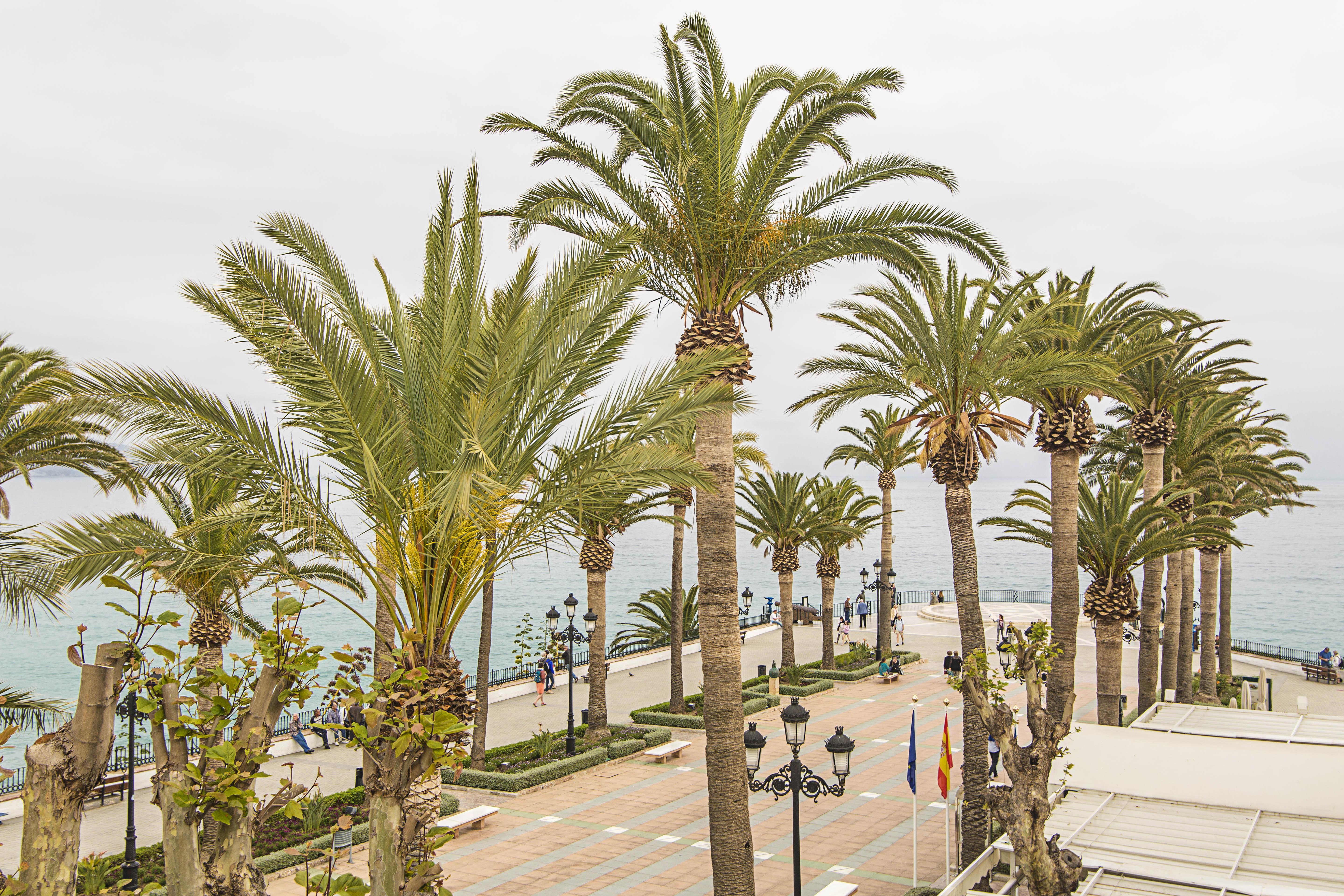 Hostal Marissal By Dorobe Nerja Εξωτερικό φωτογραφία